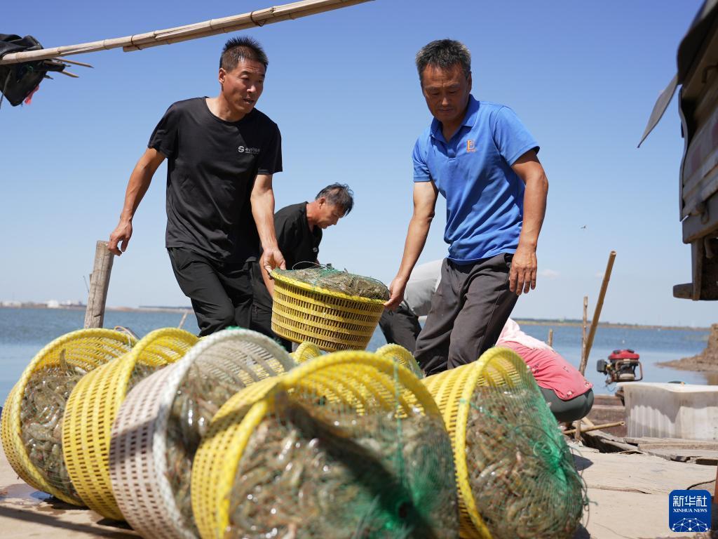 龙八国际手机版下载