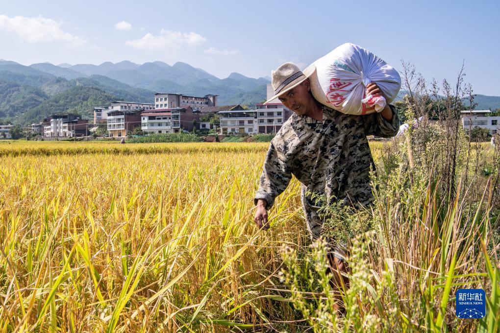 美高梅国际网站